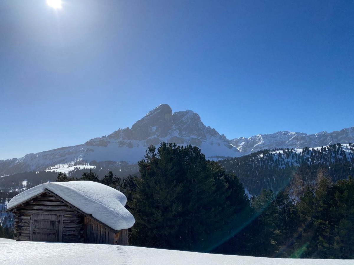 La Ciasota Lägenhet Antermoia Exteriör bild